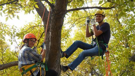 two men in tree with hard hats and cable lines