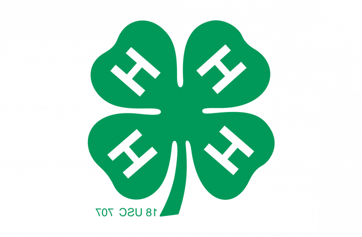 4-H标志，一种绿色的四叶草，每片叶子上都有一个白色的大写字母H